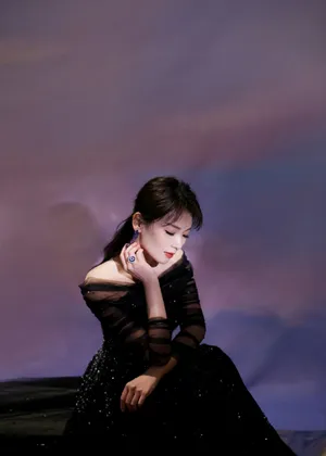 刘涛暗夜星河长裙优雅写真图片_2