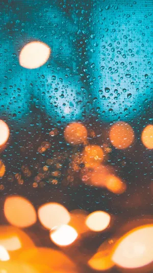 雨天的唯美散景
