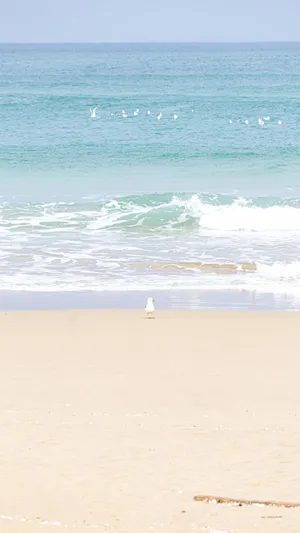 迷人的大海唯美风光_1