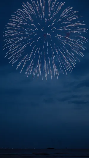 跨年夜唯美烟花