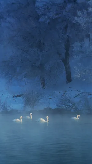 冬日烟雾缭绕湖泊唯美风景