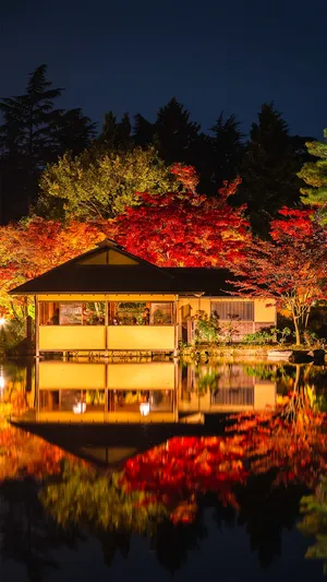 日式庭院古典唯美夜景_1