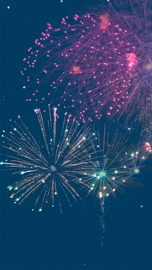 唯美烟花在夜空中绚丽绽放