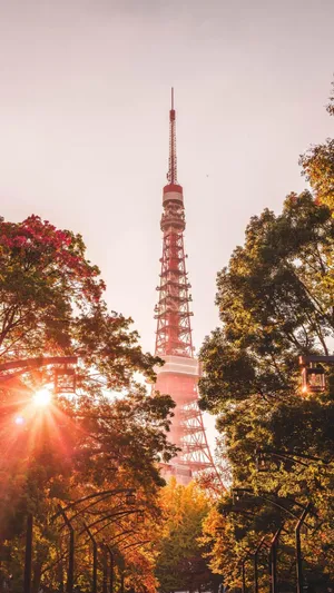 日本著名建筑——东京塔