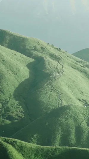 绿色山丘迷人自然风景