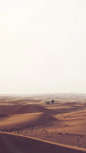 自然中荒无人烟的沙漠风景