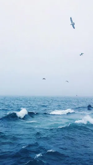 超唯美小清新的海景