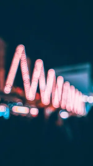 绚丽唯美的夜晚散景意境_1