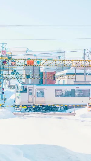 冬日里一道白色的风景线_1