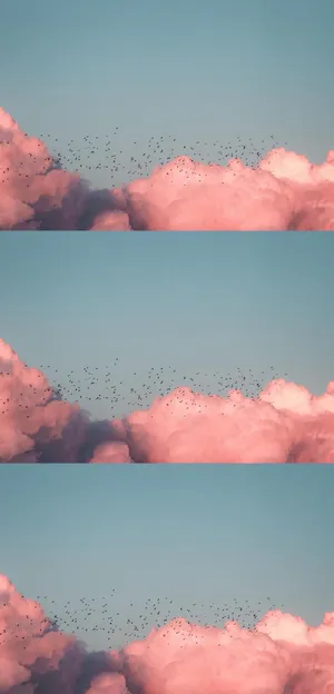 唯美粉嫩的云端之海_1