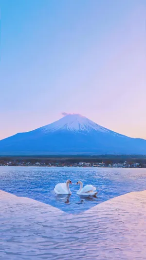 富士山下的清澈优美湖泊美景_1