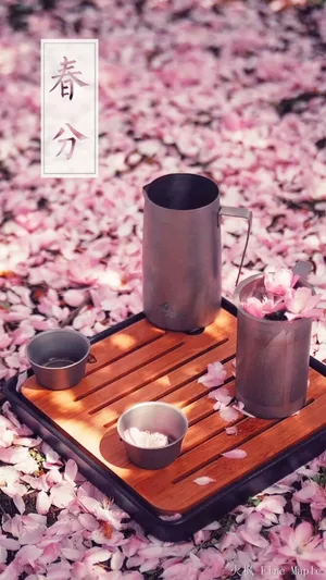 最美的24时节春分_1