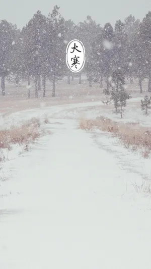 日历轻翻,时至大寒