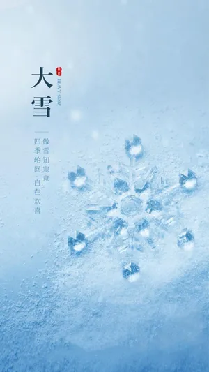 大雪时节的唯美雪花_1