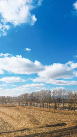 感受大自然的优美风光
