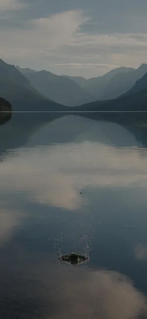 看山水,品美景