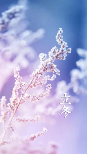 冬天来了,春天还会远吗
