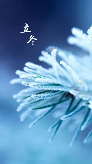 立冬快乐
