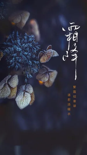 霜降唯美风光