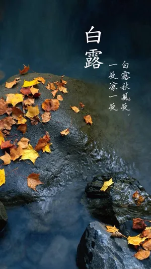 白露秋风夜