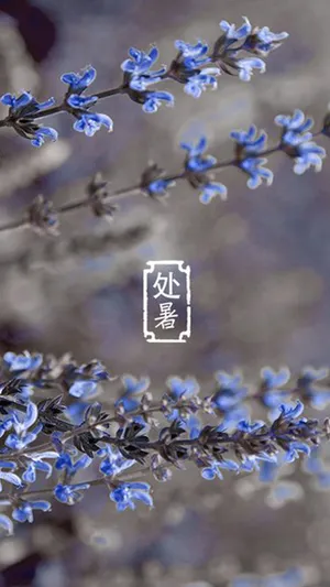 遇见美丽的处暑