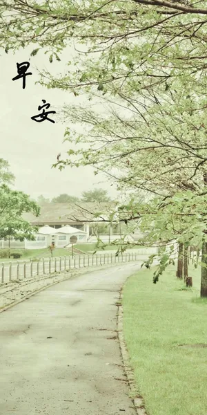 早安:清晨的小路