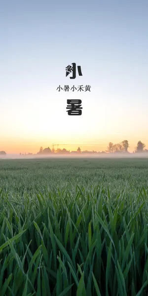 小暑之唯美田园风光