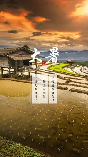 大暑田园风光背景