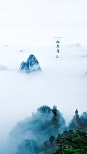 五月的暖风已经吹过
