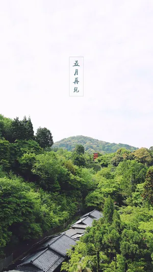 六月的清晨