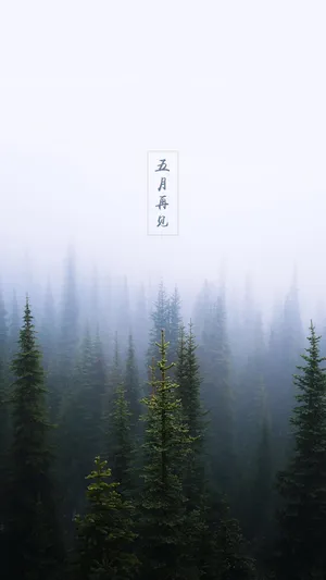 过去的五月
