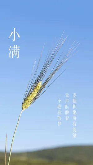 24节气小满