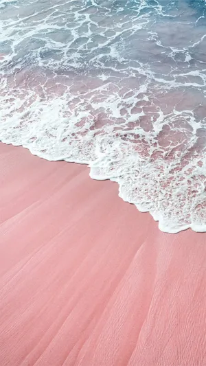 肉粉色沙滩与波浪_1