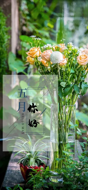 五月你好小清新植物