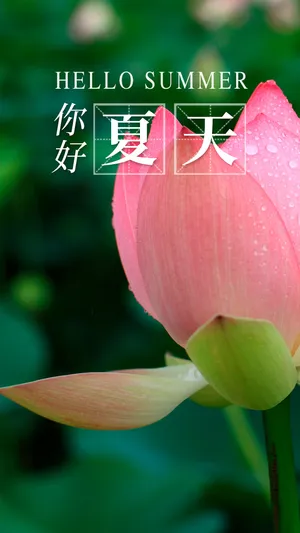 繁花凋谢 小荷露尖_1
