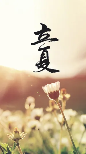 立夏的炎热送走了春的寂寞