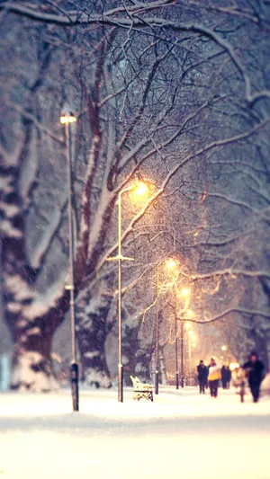 冬日晨雪