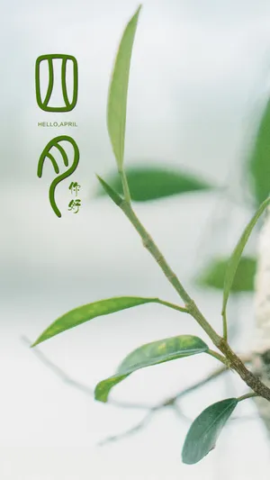 又到阳春,四月你好_1