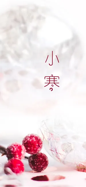 小寒时节的唯美静物写真