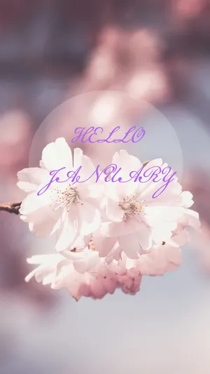 早安,2019年的第一个月