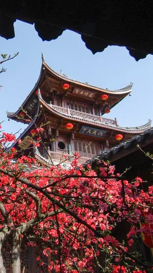 阆州城南天下稀