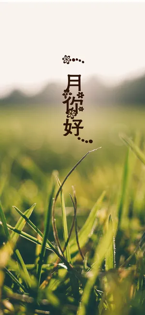 一月来了,春天还会远吗