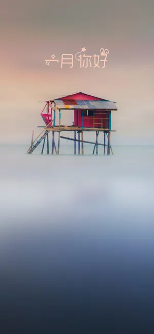 在一月的坐标里