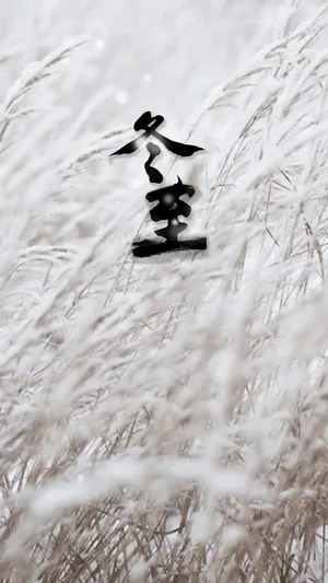 冬至已至
