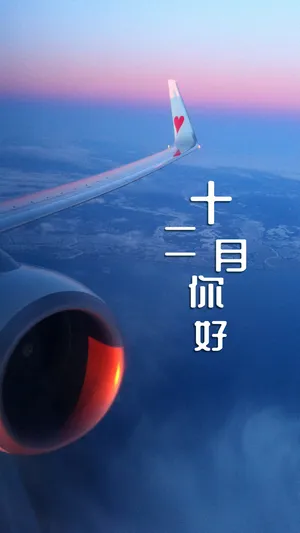 飞机自由自的飞行
