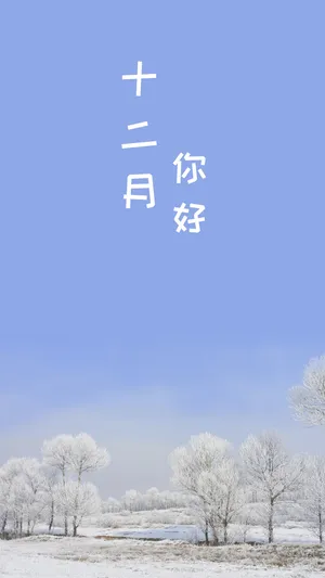 月色与雪色之间