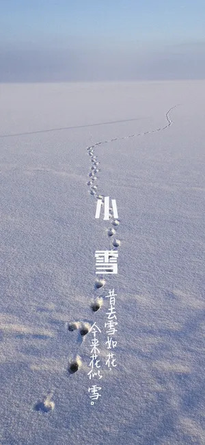 昔去雪如花 今来花似雪
