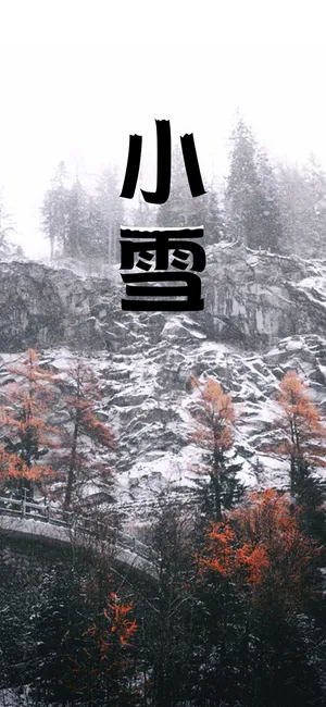 一片飞来一片寒_1