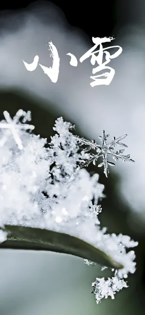 小雪气寒而将雪矣_1