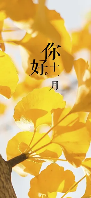 已是十一月末_1